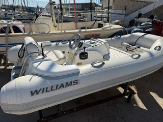 Williams 2010 325