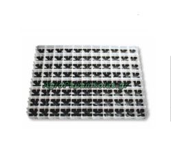 ΤΕΛΑΡΟ ΕΚΚΟΛΑΨΗΣ 88 ΑΥΓΩΝ ΚΟΤΑΣ 50x36cm