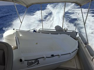 Great White 2008 FAETHON 9.30 CABIN ΠΕΤΡΕΛΑΙΟ ΚΙΝΗΤΗΡΑΣ Μ 2014-thumb-18