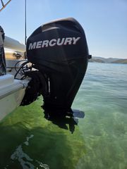 Mercury 2011 ELPT EFI 747cc BIG FOOT