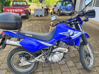 Yamaha XT 600E 2001-thumb-6