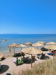 Ξαπλώστρες ομπρέλες beach bar-thumb-1