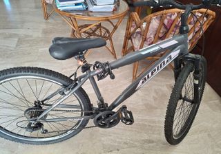 All - Mountain Alpina 2024 Alpina Alpha 2024