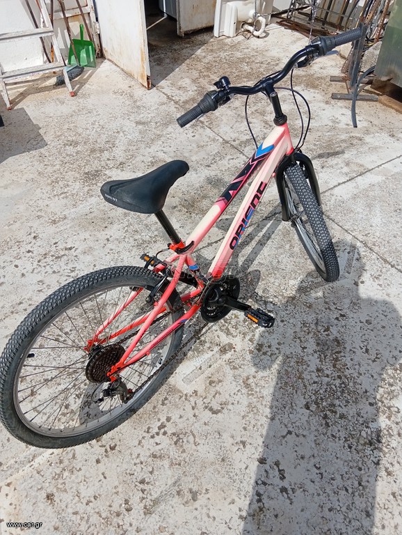 All - Mountain Orient 2019 24"