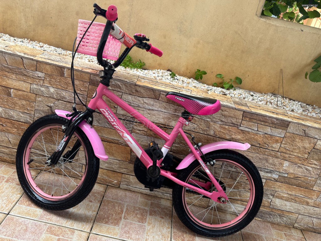 BMX Orient 2022