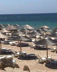 ΟΜΠΡΕΛΕΣ ΠΑΡΑΛΙΑΣ ΚΑΛΑΜΙ , Φ220, ΚΟΡΜΟ