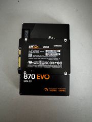 SAMSUNG 870EVO 250GB