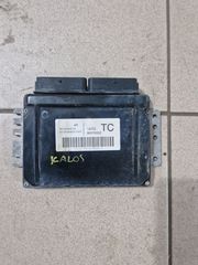 ΕΓΚΕΦΑΛΟΣ KALOS ΚΙΝΗΤΗΡΑΣ:B12S1