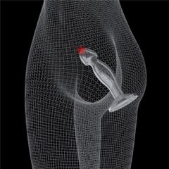 Dop Anal Flawless Clear Prostate Plug 6.5-thumb-4