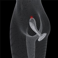 Dop Anal Flawless Clear, TPE, Transparent, 15 cm-thumb-4