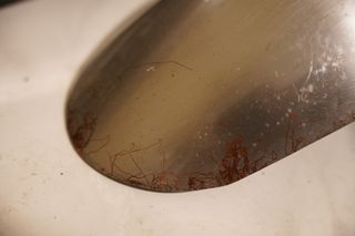 harley davidson 48 iron custom-thumb-8