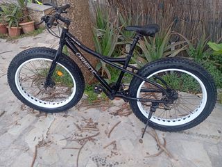 Fat Bikes Orient 2022