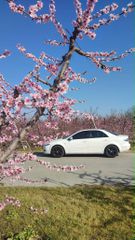 Mazda 6 2004