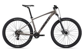 All - Mountain Giant 2026 TALON 4 29"