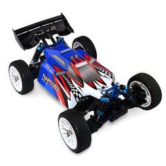ZD RacingRaptors BX-16 4WD Brushless RTR RC Buggy