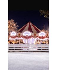 Carousel 16 αλογα-thumb-3