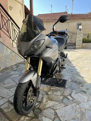 Triumph Tiger 1050 SE 2009-thumb-3
