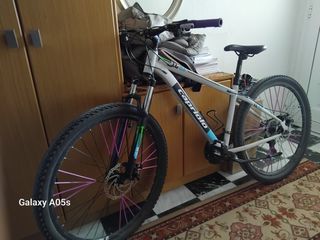 All - Mountain Capriolo 2025 2025