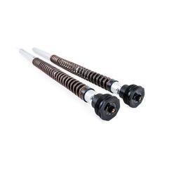 OHLINS CARTRIDGE YAMAHA Tenere 700 World Raid 2022> - NIX30A 81FKA116 (Το ελατήριο δεν συμπεριλαμβάνεται)