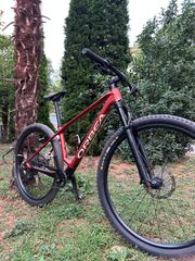 All - Mountain Orbea 2025 Alma-thumb-2