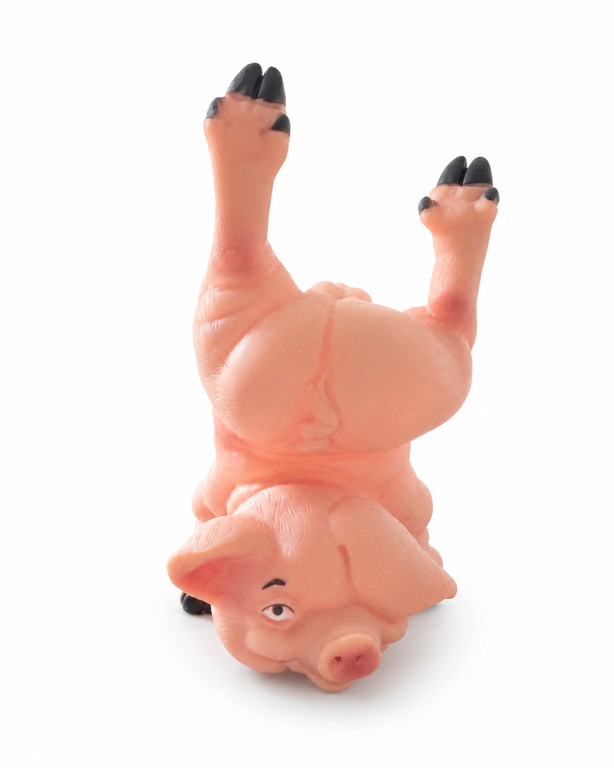 Pigie Pig sweet Penis