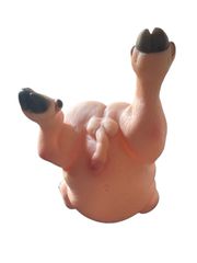 Pigie Pig sweet Penis-thumb-1