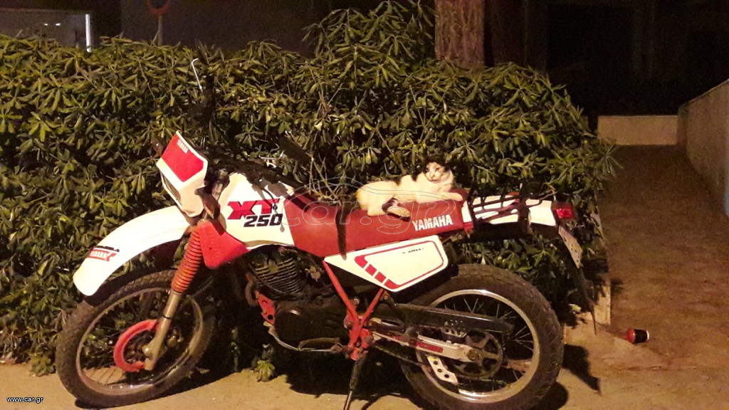 Yamaha XT 250 1992