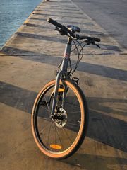 Πόλης Kona 2020 Dew Plus-thumb-1