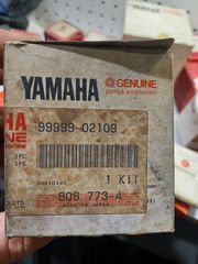 ΠΙΣΤΌΝΙ  ΣΕΤ  YAMAHA  DT 125  +0.25mm  ΓΝΉΣΙΟ