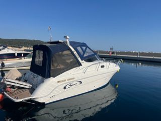 Saver 2010 Riviera 24