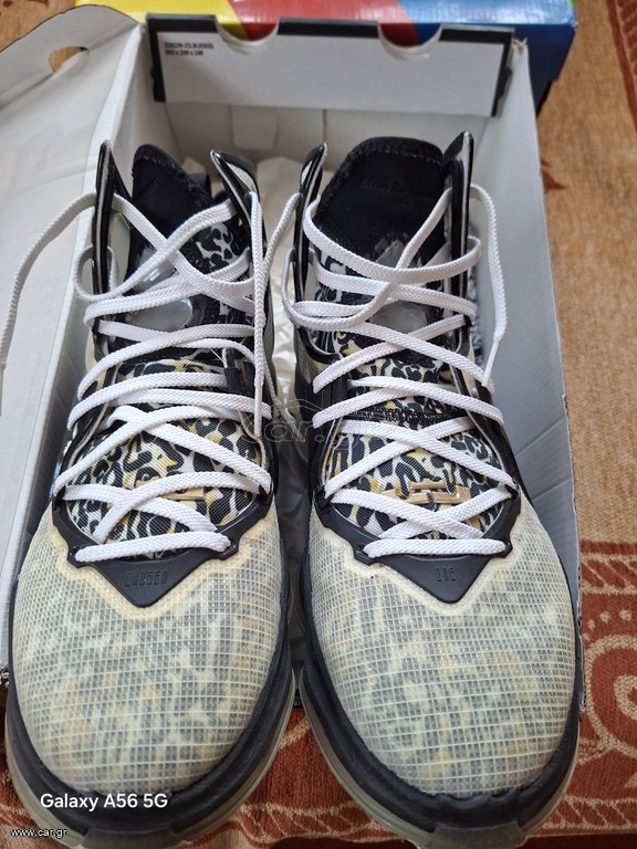 Lebron XIX
