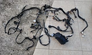 Starlet Πλεξούδα  *