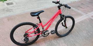 All - Mountain Ridgeback 2022 24''-thumb-1