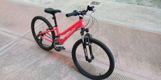 All - Mountain Ridgeback 2022 24''-thumb-2