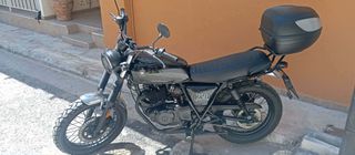 Brixton Glanville 250 X 2023