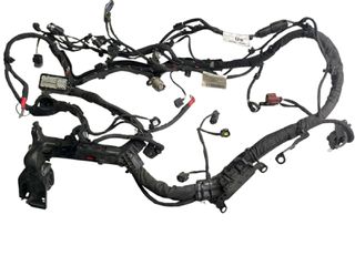 Καλωδίωση 1.0 ecoboost SFJN Ford Ecosport 2013-2017