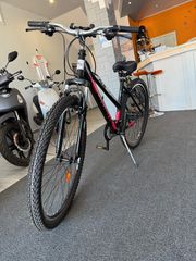 Dirt Jump Orient 2026-thumb-1