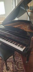 CALISIA baby grand 170