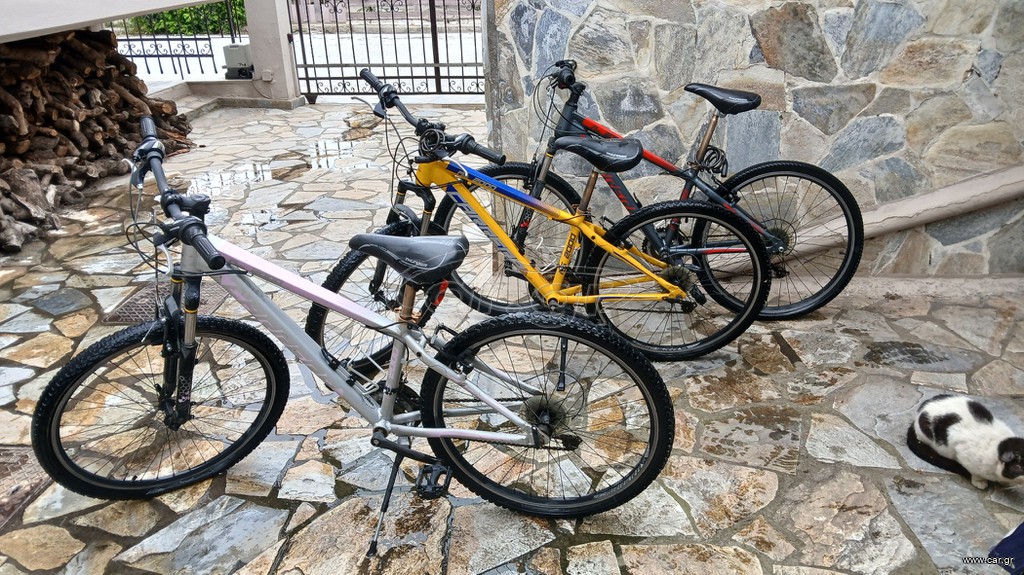 All - Mountain Carrera 2018 Carrera 26"