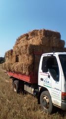 Dump Van Isuzu 2002 Npr-thumb-2