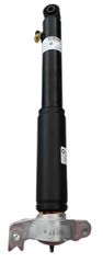 ΑΜΟΡΤΙΣΕΡ ΠΙΣΩ ΑΡΙΣΤΕΡΟ  ΗΛ. FLEXRIDE SPORT INSIGNIA-A-thumb-1