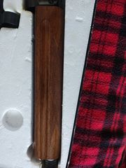 Browning light 12