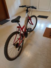 All - Mountain Orient 2019 COMEORE-thumb-3