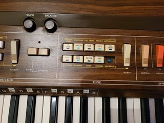 cazio-thumb-6