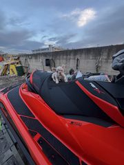 Sea-Doo 2017 RXP-RS 300