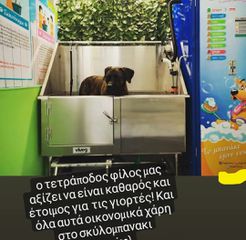 Pet grooming self service cabine-thumb-2