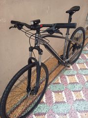 All - Mountain Scott 2022 aspect