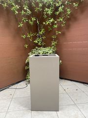 Lechuza CANTO Stone High 40 Sand Beige – Αυτοποτιζόμενη επιδαπέδια γλάστρα 76cm