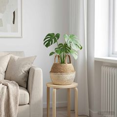 vidaXL Γλάστρα με Χερούλια Λευκό Ø 22 x 20 cm 100% Θαλασσόχορτο