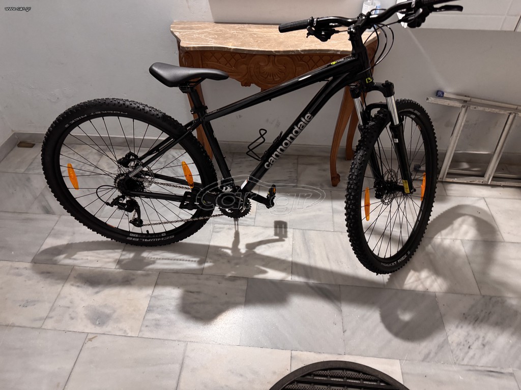 All - Mountain Cannondale 2026 trail 6